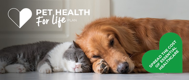 Pet Health For Life Plan | Leadon Vale Veterinary Centre 